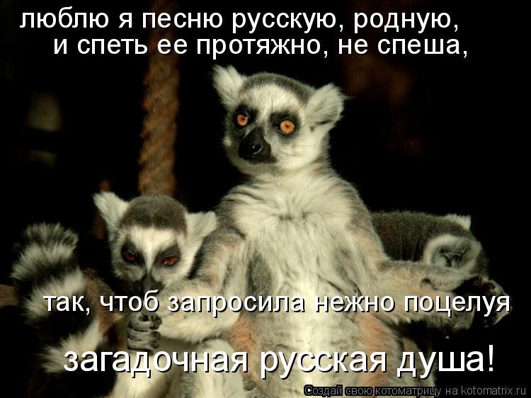 люблю я песню русскую, родную, и спеть ее протяжно, не спеша, так, чтоб запросила нежно поцелуя за... Котоматрица: люблю я песню русскую, родную, и спеть ее протяжно, не спеша, так, чтоб запросила нежно поцелуя загадочная русская душа!