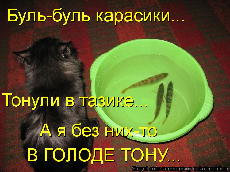Буль-буль карасики... Тонули в тазике... А я без них-то В ГОЛОДЕ ТОНУ...... Котоматрица: Буль-буль карасики... Тонули в тазике... А я без них-то В ГОЛОДЕ ТОНУ...