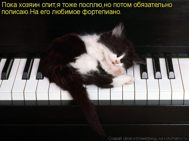 Пока хозяин спит,я тоже посплю,но потом обязательно пописаю.На его любимое фортепиано.... Котоматрица: Пока хозяин спит,я тоже посплю,но потом обязательно пописаю.На его любимое фортепиано.