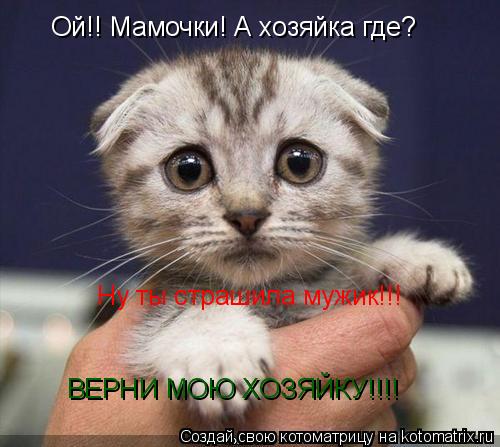 Ой!! Мамочки! А хозяйка где? Ну ты страшила мужик!!! ВЕРНИ МОЮ ХОЗЯЙКУ!!!!... Котоматрица: Ой!! Мамочки! А хозяйка где? Ну ты страшила мужик!!! ВЕРНИ МОЮ ХОЗЯЙКУ!!!!