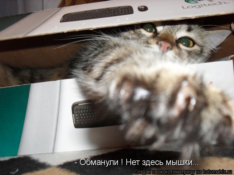 - Обманули ! Нет здесь мышки...... Котоматрица: - Обманули ! Нет здесь мышки...