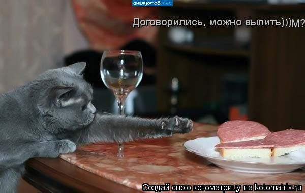 Договорились, можно выпить))) М?... Котоматрица: Договорились, можно выпить))) М?