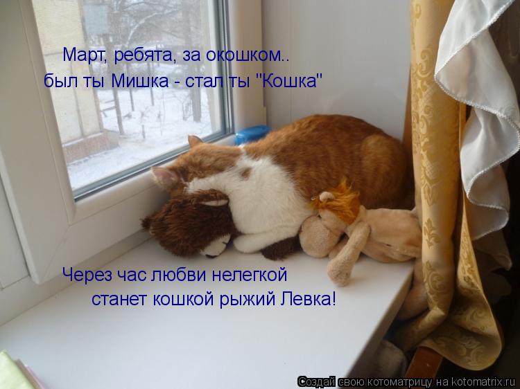 Через час любви нелегкой станет кошкой рыжий Левка! был ты Мишка - стал ты "Кошка" Март, ребята, за о... Котоматрица: Через час любви нелегкой станет кошкой рыжий Левка! был ты Мишка - стал ты "Кошка" Март, ребята, за окошком..