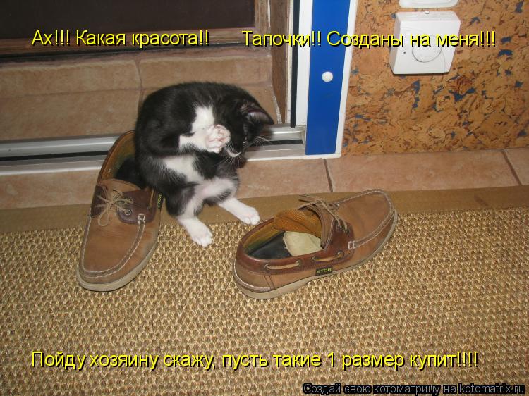 Ах!!! Какая красота!! Тапочки!! Созданы на меня!!! Пойду хозяину скажу, пусть такие 1 размер купит!!!... Котоматрица: Ах!!! Какая красота!! Тапочки!! Созданы на меня!!! Пойду хозяину скажу, пусть такие 1 размер купит!!!!
