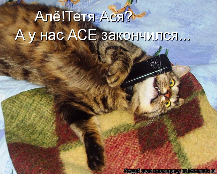 Алё!Тетя Ася? А у нас АСЕ закончился...... Котоматрица: Алё!Тетя Ася? А у нас АСЕ закончился...