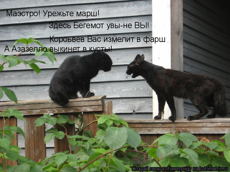 Маэстро! Урежьте марш! Короьвев Вас измелит в фарш Здесь Бегемот увы-не ВЫ! А Азазелло выкинет в куст... Котоматрица: Маэстро! Урежьте марш! Короьвев Вас измелит в фарш Здесь Бегемот увы-не ВЫ! А Азазелло выкинет в кусты!