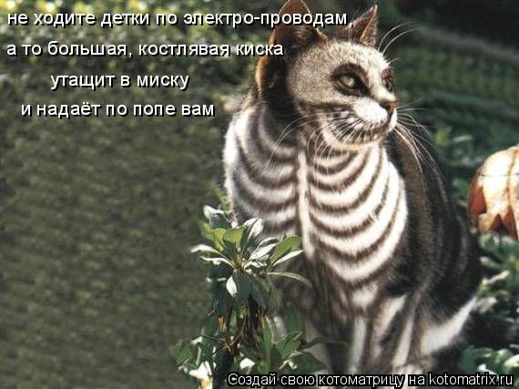не ходите детки по электро-проводам , а то большая, костлявая киска утащит в миску и надаёт по попе ... Котоматрица: не ходите детки по электро-проводам , а то большая, костлявая киска утащит в миску и надаёт по попе вам
