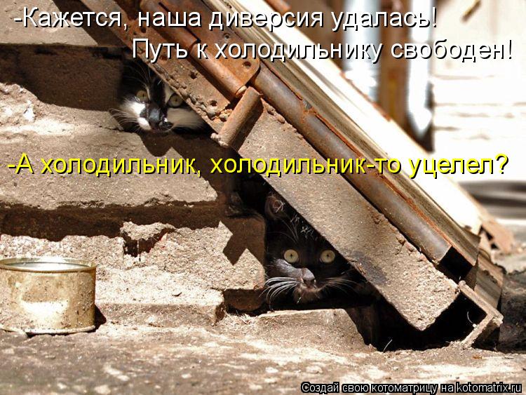 -Кажется, наша диверсия удалась! Путь к холодильнику свободен! -А холодильник, холодильник-то уцелел... Котоматрица: -Кажется, наша диверсия удалась! Путь к холодильнику свободен! -А холодильник, холодильник-то уцелел?