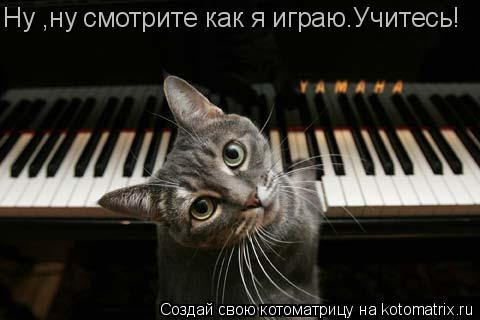 Ну ,ну смотрите как я играю.Учитесь!... Котоматрица: Ну ,ну смотрите как я играю.Учитесь!