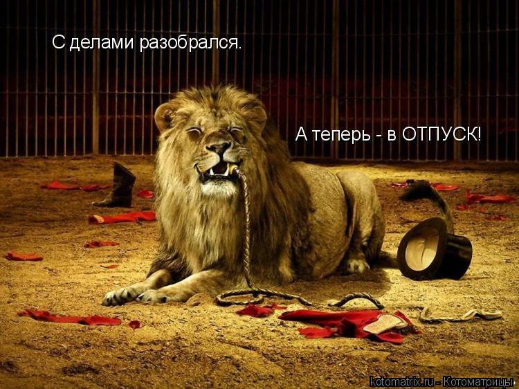 А теперь - в ОТПУСК! С делами разобрался.... Котоматрица: А теперь - в ОТПУСК! С делами разобрался.