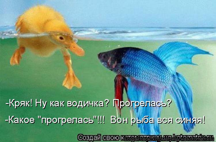 -Кряк! Ну как водичка? Прогрелась? -Какое "прогрелась"!!! Вон рыба вся синяя!... Котоматрица: -Кряк! Ну как водичка? Прогрелась? -Какое "прогрелась"!!! Вон рыба вся синяя!
