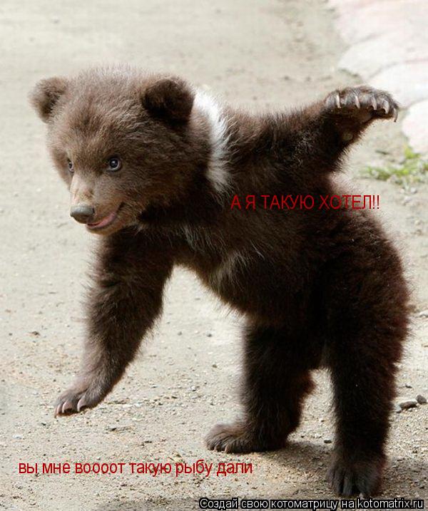 вы мне воооот такую рыбу дали А Я ТАКУЮ ХОТЕЛ!!... Котоматрица: вы мне воооот такую рыбу дали А Я ТАКУЮ ХОТЕЛ!!