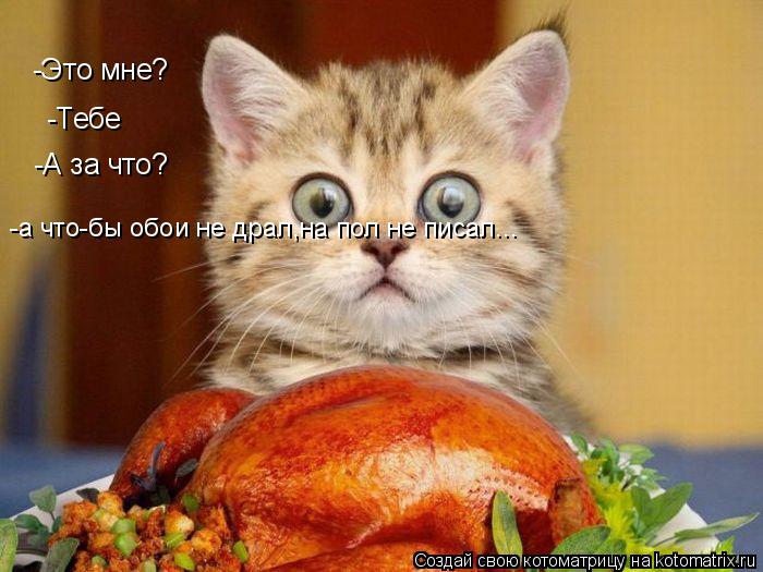 -Это мне? -Тебе -А за что? -а что-бы обои не драл,на пол не писал...... Котоматрица: -Это мне? -Тебе -А за что? -а что-бы обои не драл,на пол не писал...