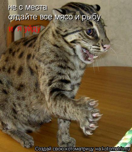 не с места отдайте все мясо и рыбу и я уйду... Котоматрица: не с места отдайте все мясо и рыбу и я уйду
