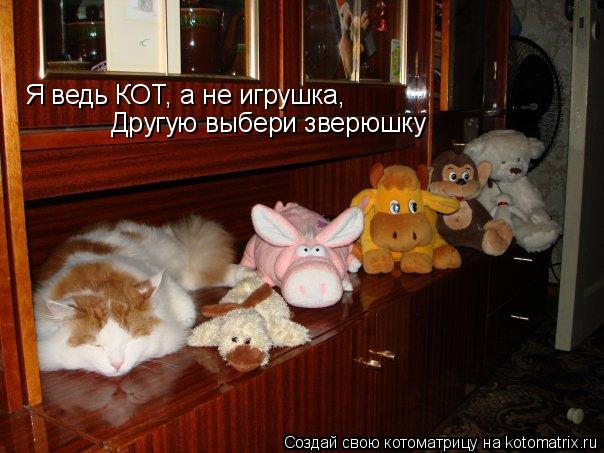 Я ведь КОТ, а не игрушка, Другую выбери зверюшку... Котоматрица: Я ведь КОТ, а не игрушка, Другую выбери зверюшку