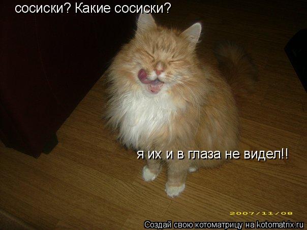 сосиски? Какие сосиски? я их и в глаза не видел!!... Котоматрица: сосиски? Какие сосиски? я их и в глаза не видел!!