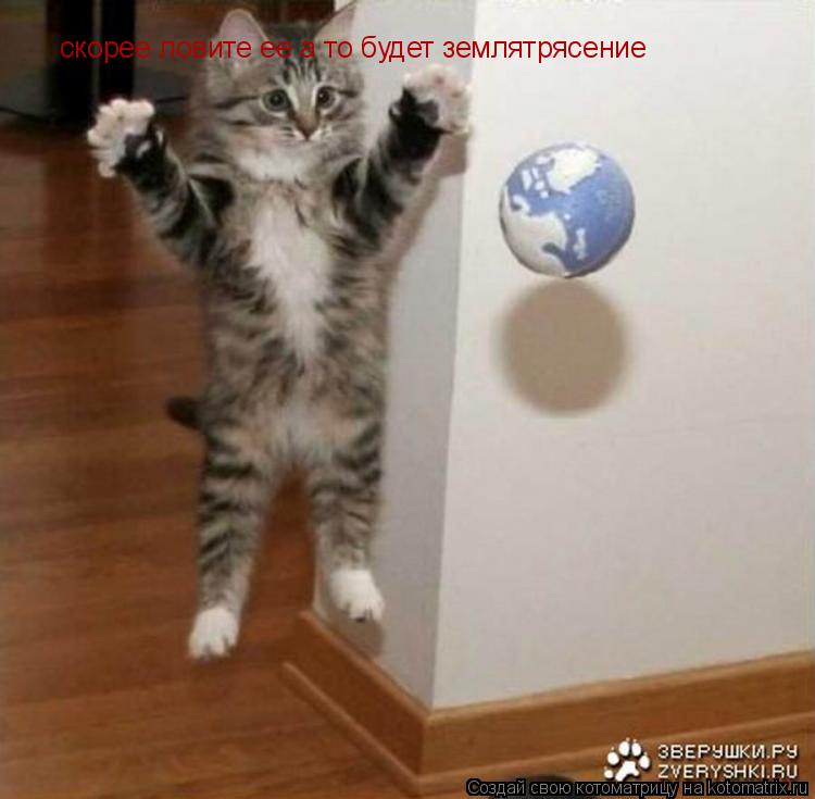 скорее ловите ее а то будет землятрясение... Котоматрица: скорее ловите ее а то будет землятрясение