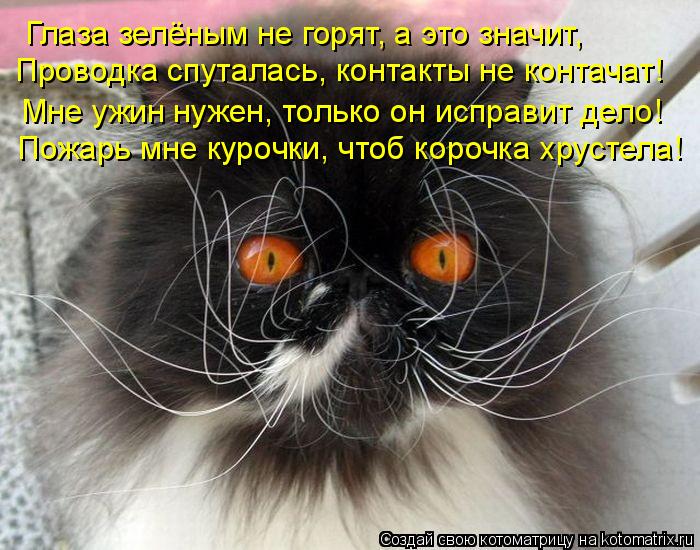 Глаза зелёным не горят, а это значит, Проводка спуталась, контакты не контачат! Мне ужин нужен, тольк... Котоматрица: Глаза зелёным не горят, а это значит, Проводка спуталась, контакты не контачат! Мне ужин нужен, только он исправит дело! Пожарь мне курочки, ч