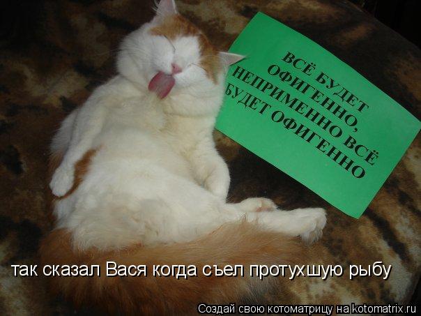 так сказал Вася когда съел протухшую рыбу... Котоматрица: так сказал Вася когда съел протухшую рыбу