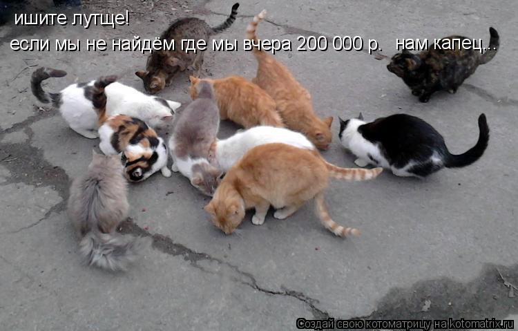 ишите лутще! если мы не найдём где мы вчера 200 000 р. нам капец...... Котоматрица: ишите лутще! если мы не найдём где мы вчера 200 000 р. нам капец...