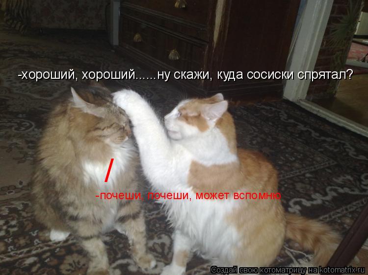 -хороший, хороший......ну скажи, куда сосиски спрятал? -почеши, почеши, может вспомню /... Котоматрица: -хороший, хороший......ну скажи, куда сосиски спрятал? -почеши, почеши, может вспомню /