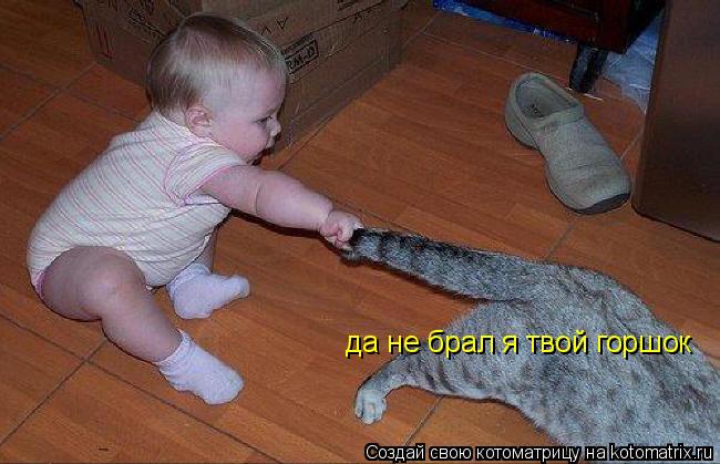 да не брал я твой горшок... Котоматрица: да не брал я твой горшок