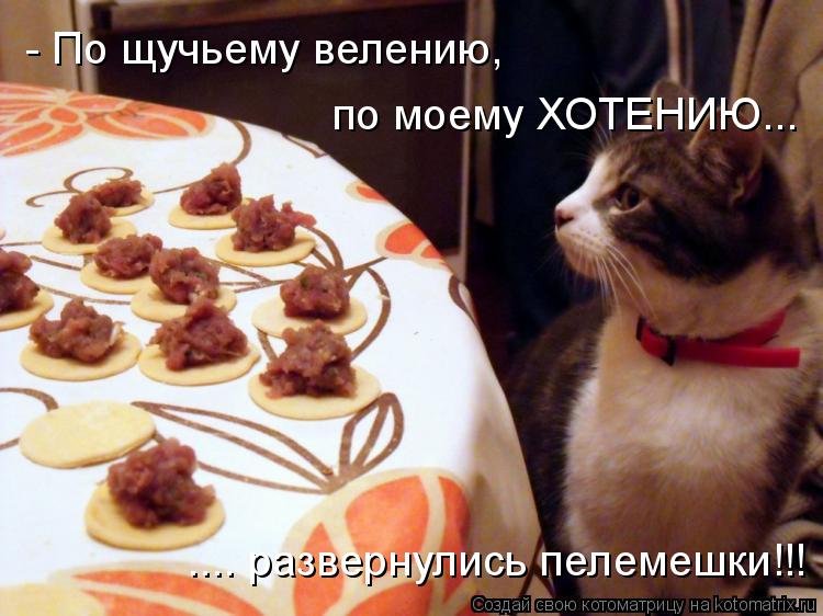 - По щучьему велению, по моему ХОТЕНИЮ... .... развернулись пелемешки!!!... Котоматрица: - По щучьему велению, по моему ХОТЕНИЮ... .... развернулись пелемешки!!!