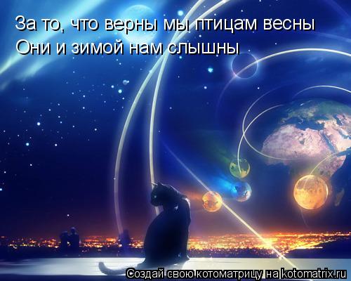 За то, что верны мы птицам весны Они и зимой нам слышны... Котоматрица: За то, что верны мы птицам весны Они и зимой нам слышны