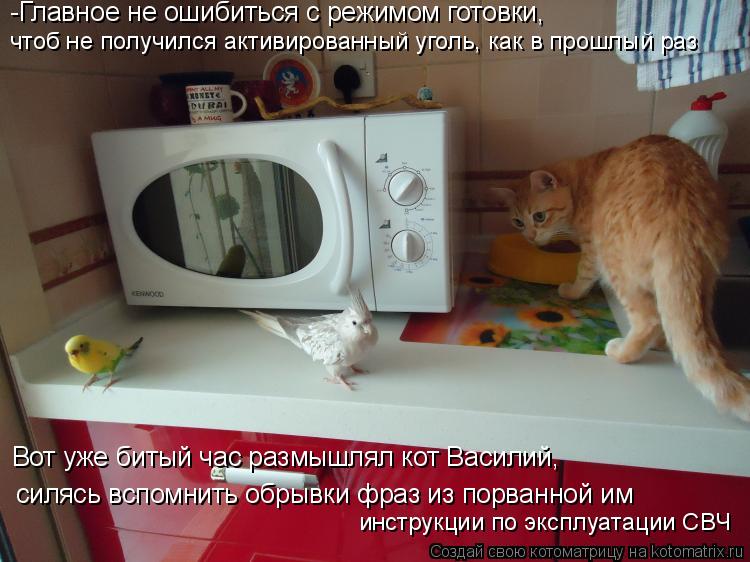 -Главное не ошибиться с режимом готовки, Вот уже битый час размышлял кот Василий, силясь вспомнить об... Котоматрица: -Главное не ошибиться с режимом готовки, Вот уже битый час размышлял кот Василий, силясь вспомнить обрывки фраз из порванной им чтоб не полу