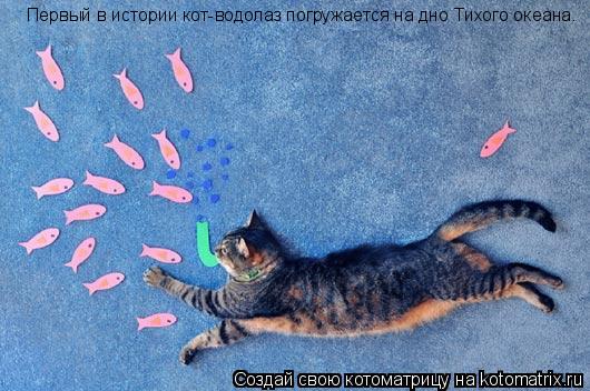 Первый в истории кот-водолаз погружается на дно Тихого океана.... Котоматрица: Первый в истории кот-водолаз погружается на дно Тихого океана.