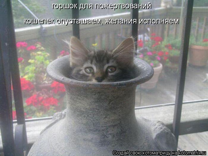 горшок для пожертвований кошелёк опусташаем, желания исполняем... Котоматрица: горшок для пожертвований кошелёк опусташаем, желания исполняем