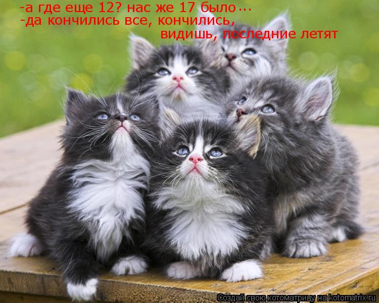 -а где еще 12? нас же 17 было -да кончились все, кончились , видишь, последние летят ...... Котоматрица: -а где еще 12? нас же 17 было -да кончились все, кончились , видишь, последние летят ...