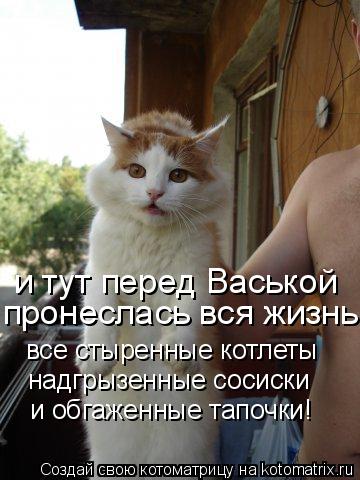 и тут перед Васькой пронеслась вся жизнь все стыренные котлеты надгрызенные сосиски и обгаженные тапо... Котоматрица: и тут перед Васькой пронеслась вся жизнь все стыренные котлеты надгрызенные сосиски и обгаженные тапочки!