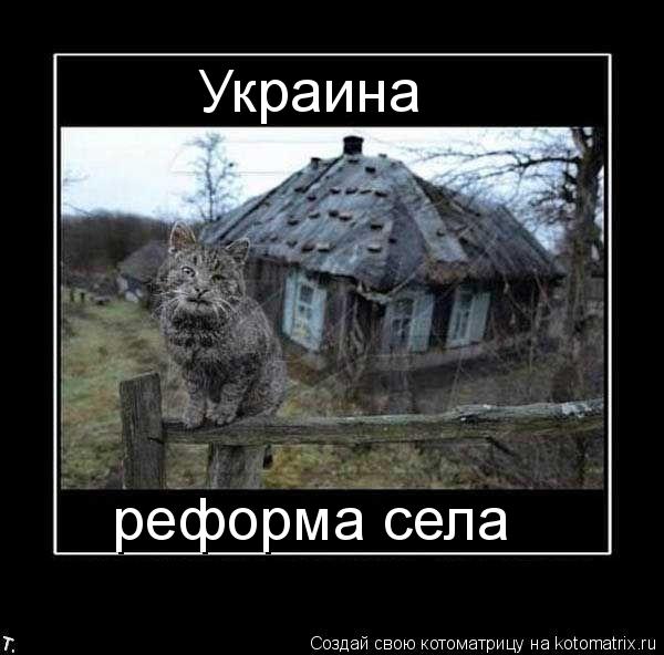 Украина реформа села... Котоматрица: Украина реформа села