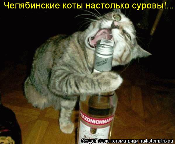 Котоматрица: Челябинские коты настолько суровы!...