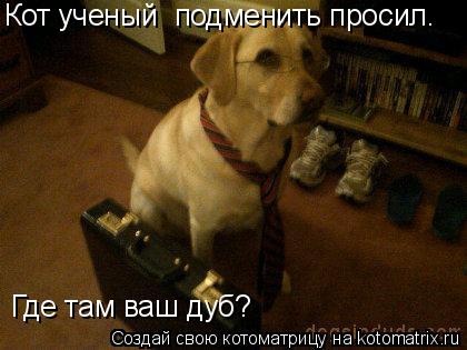 Кот ученый подменить просил. Где там ваш дуб?... Котоматрица: Кот ученый подменить просил. Где там ваш дуб?