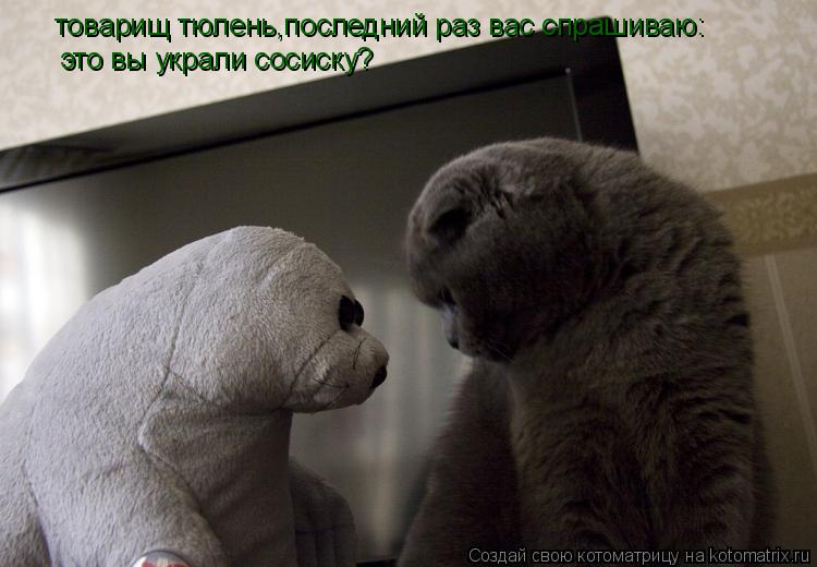 товарищ тюлень,последний раз вас спрашиваю: это вы украли сосиску?... Котоматрица: товарищ тюлень,последний раз вас спрашиваю: это вы украли сосиску?