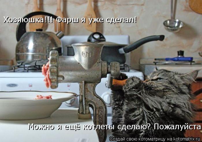 Хозяюшка!!! Фарш я уже сделал! ... Котоматрица: Хозяюшка!!! Фарш я уже сделал!