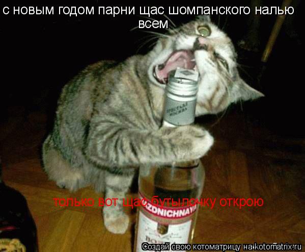 с новым годом парни щас шомпанского налью всем только вот щас бутылочку открою... Котоматрица: с новым годом парни щас шомпанского налью всем только вот щас бутылочку открою
