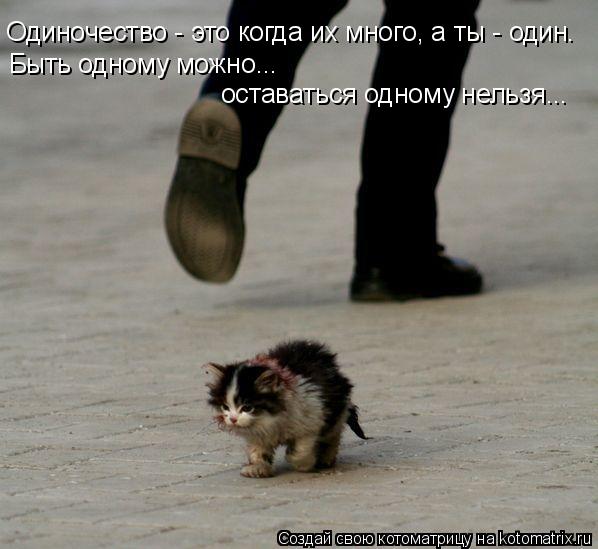 Одиночество - это когда их много, а ты - один. Быть одному можно... оставаться одному нельзя...... Котоматрица: Одиночество - это когда их много, а ты - один. Быть одному можно... оставаться одному нельзя...