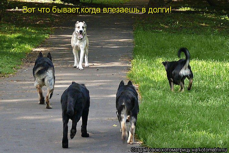 Вот что бывает,когда влезаешь в долги!... Котоматрица: Вот что бывает,когда влезаешь в долги!