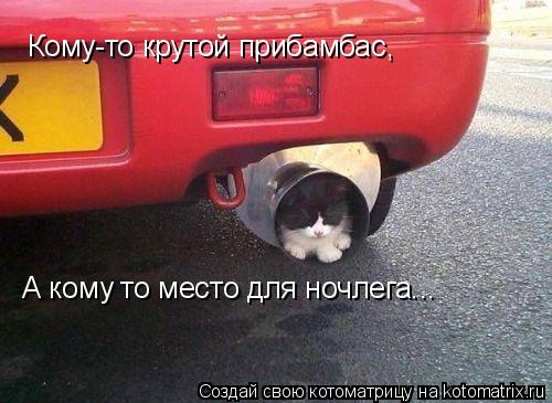 Кому-то крутой прибамбас, А кому то место для ночлега...... Котоматрица: Кому-то крутой прибамбас, А кому то место для ночлега...