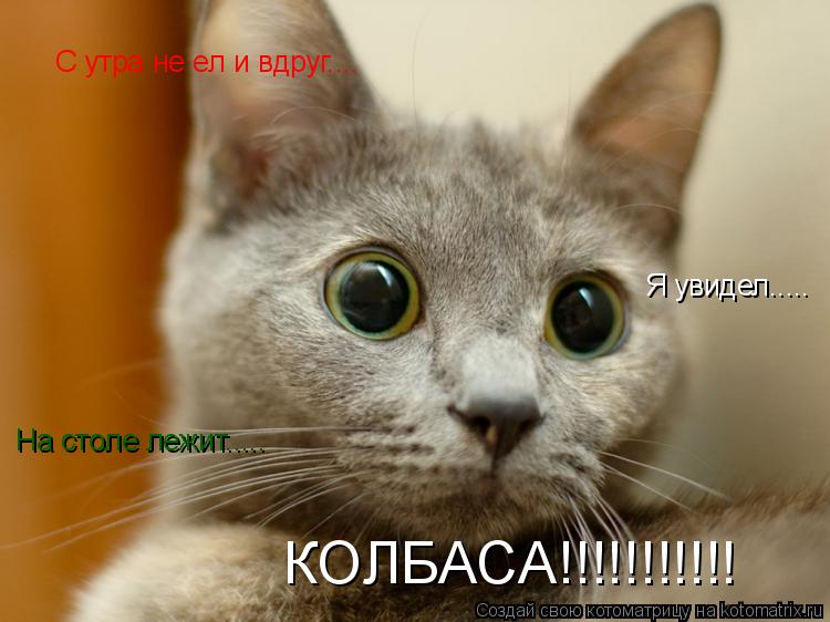 С утра не ел и вдруг.... Я увидел..... На столе лежит..... КОЛБАСА!!!!!!!!!!!... Котоматрица: С утра не ел и вдруг.... Я увидел..... На столе лежит..... КОЛБАСА!!!!!!!!!!!