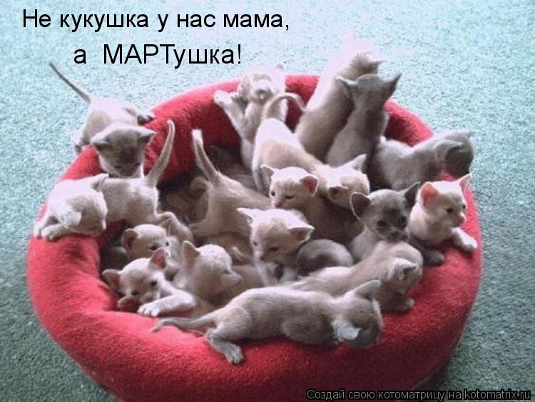 Не кукушка у нас мама, а МАРТушка!... Котоматрица: Не кукушка у нас мама, а МАРТушка!