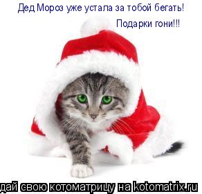 Дед Мороз уже устала за тобой бегать! Подарки гони!!!... Котоматрица: Дед Мороз уже устала за тобой бегать! Подарки гони!!!