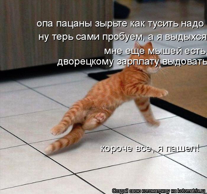 опа пацаны зырьте как тусить надо ну терь сами пробуем, а я выдыхся мне еще мышей есть, дворецкому за... Котоматрица: опа пацаны зырьте как тусить надо ну терь сами пробуем, а я выдыхся мне еще мышей есть, дворецкому зарплату выдовать, короче все, я пашел! ну