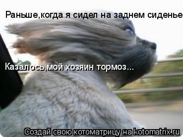 Раньше,когда я сидел на заднем сиденье, Казалось,мой хозяин тормоз...... Котоматрица: Раньше,когда я сидел на заднем сиденье, Казалось,мой хозяин тормоз...
