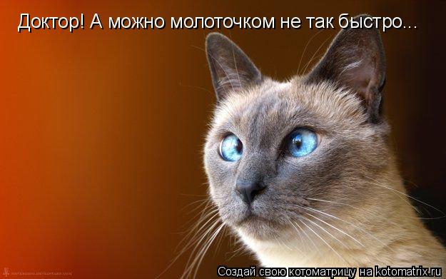 Доктор! А можно молоточком не так быстро...... Котоматрица: Доктор! А можно молоточком не так быстро...