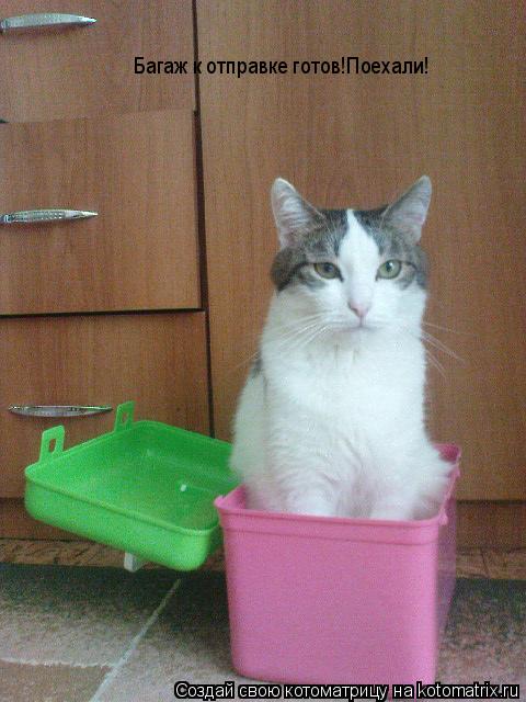 Багаж к отправке готов!Поехали!... Котоматрица: Багаж к отправке готов!Поехали!