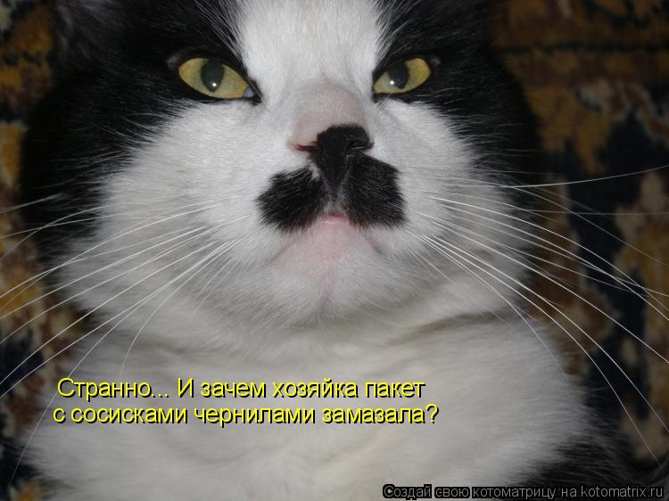 Странно... И зачем хозяйка пакет с сосисками чернилами замазала?... Котоматрица: Странно... И зачем хозяйка пакет с сосисками чернилами замазала?